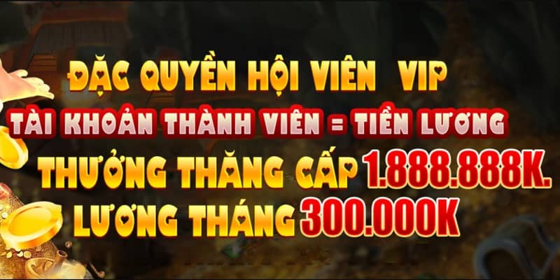 Thành viên VIP nhận được nhiều ưu ái hấp dẫn từ hệ thống