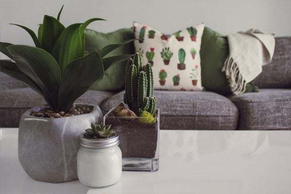 Phong cách minimalism hạn chế màu sắc sử dụng