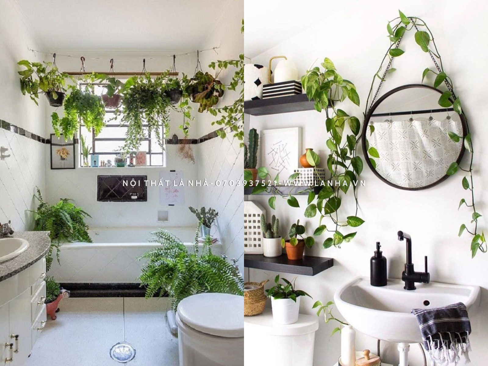 Trang trí phòng tắm 4m2 với cây xanh