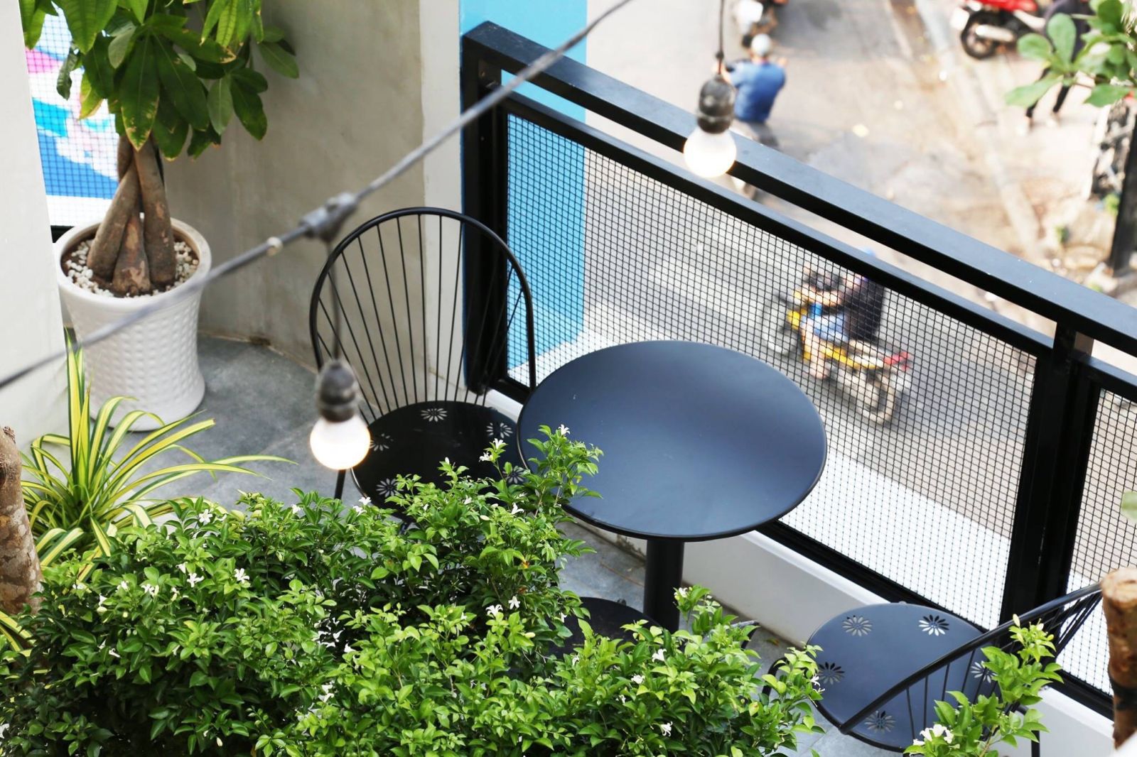 Bố trí cây xanh ở khu vực ban công