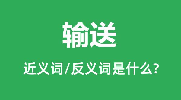 Rèm sáo thường có màu sắc trung tính như màu nâu, đen, hoặc trắng, tạo ra sự tương phản và tạo điểm nhấn trong okking.con
