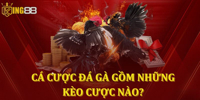 Cá cược đá gà gồm những kèo cược nào?