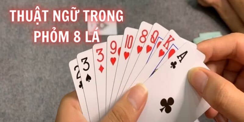 Một số các thuật ngữ chuyên dùng cần nhớ khi chơi Tá Lả 8 lá