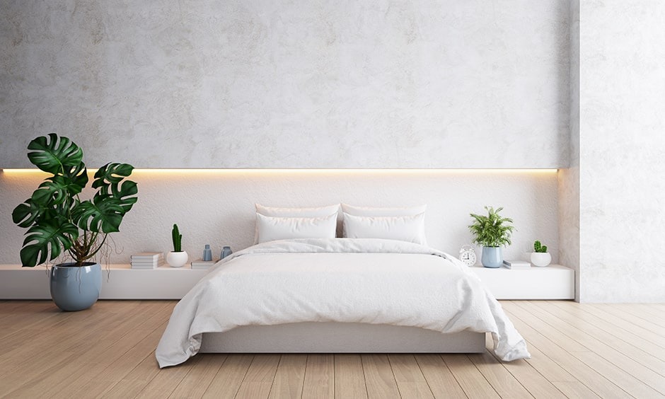 okking.con theo m.okking39 Minimalism thường kết hợp với cây xanh (Nguồn: Sưu tầm)