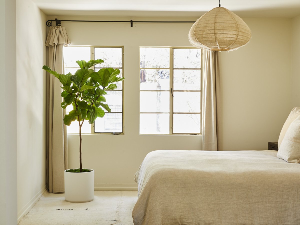 okking.con okking 12m2 tối giản sử dụng cây xanh trang trí