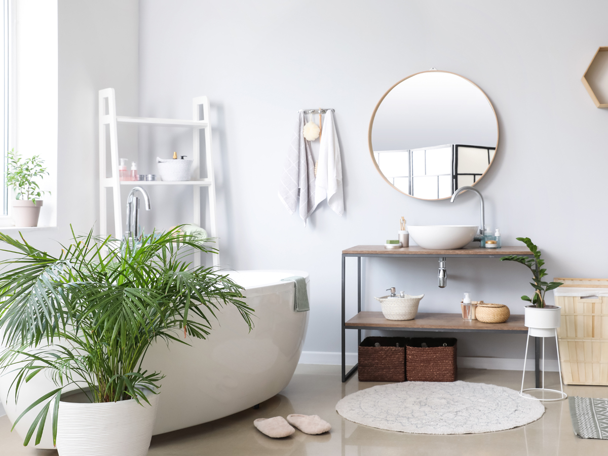 Trang trí cây xanh giúp thanh lọc không khí trong phòng tắm