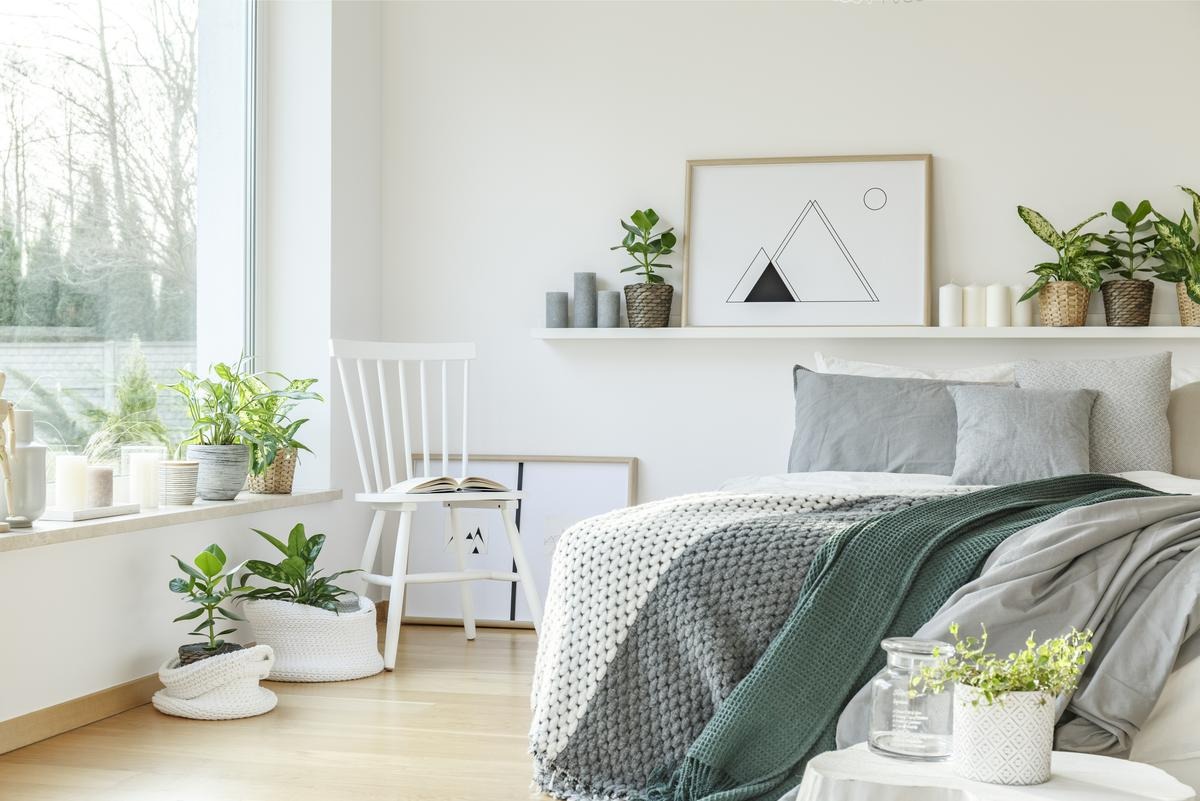 Trang trí okking tận dụng ánh sáng mặt trời và kết hợp cây xanh