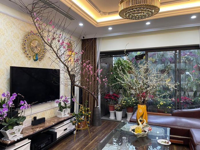 Trang trí nội thất phòng khách bằng cành đào và bình hoa mận đặc trưng ngày tết (Nguồn: Sưu tầm)